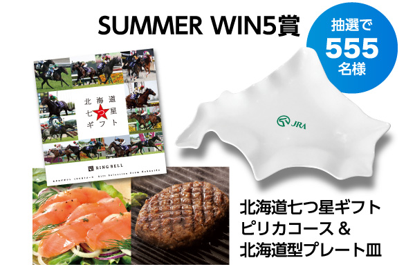 抽選で555名様:SUMMER WIN5賞 北海道七つ星ギフトピリカコース&北海道型プレート皿