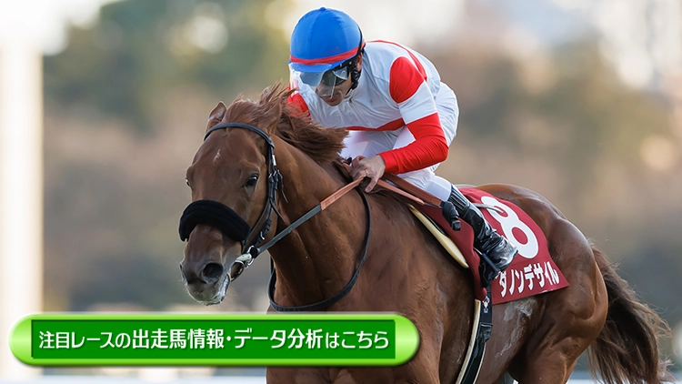 ���T�̒��ڃ��[�X