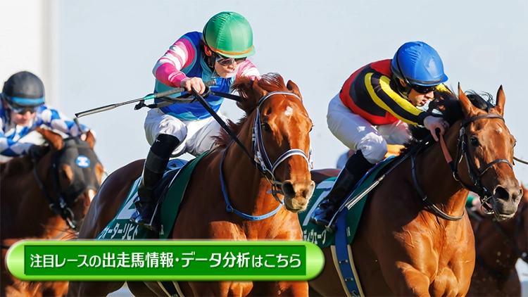 ���T�̒��ڃ��[�X