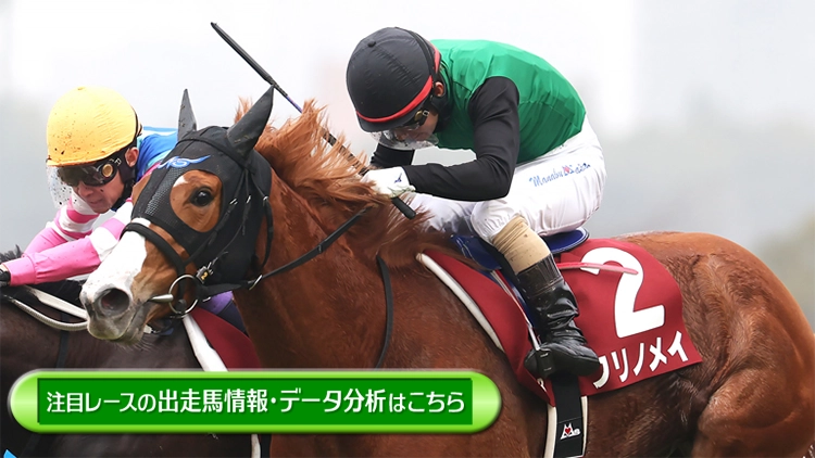 ���T�̒��ڃ��[�X