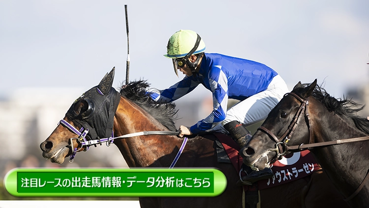 ���T�̒��ڃ��[�X