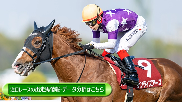 ���T�̒��ڃ��[�X