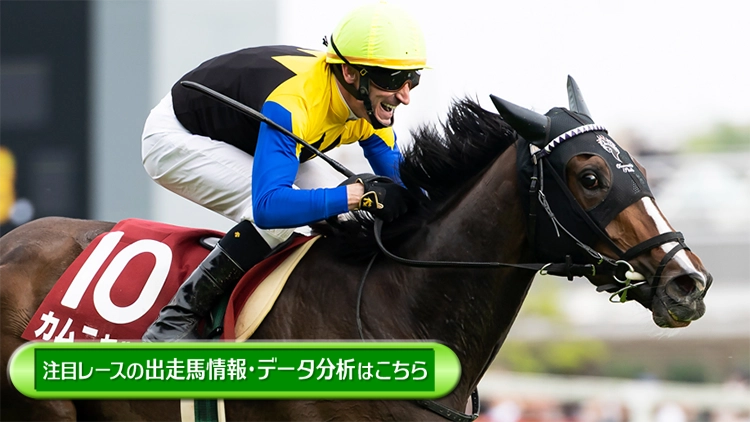 ���T�̒��ڃ��[�X