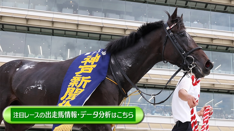 ���T�̒��ڃ��[�X