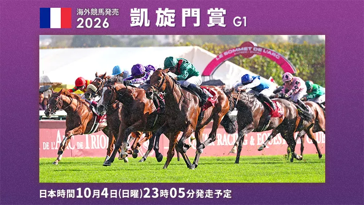 2026�K�C�Z�������V���E