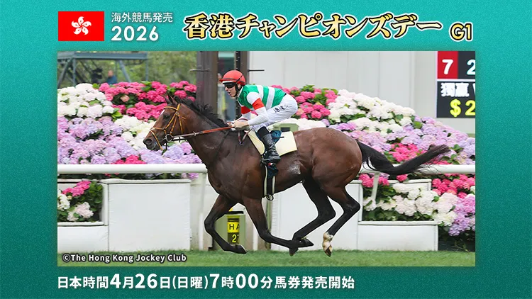 2026�z���R���`�����s�I���Y�f�[