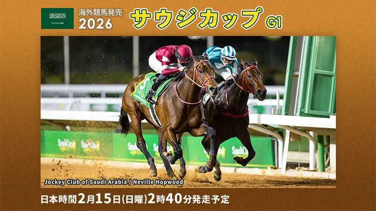 2026�T�E�W�J�b�v