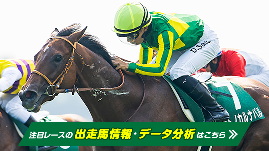 第89回日本ダービー　現地全頭単勝馬券&レーシングプログラム 岡部怜 選手（全日本ロードレース選手権ST600クラス #17