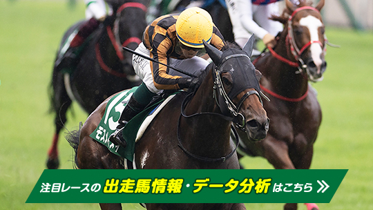 競馬通ポータブル2 JRA公式データ23年分収録 - PSP 2mvetro 91oySM-z6AL._UF1000,1000_QL80_.jpg