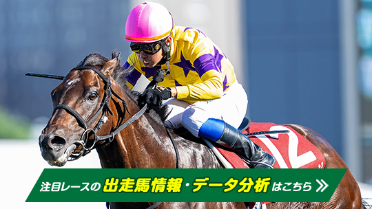 競馬 THE LINK 絶対連動 発見！永遠に続くJRA馬番リンク 絶対連動 : 発見!永遠に続くJRA馬番リンク（絶対連動 : 発見
