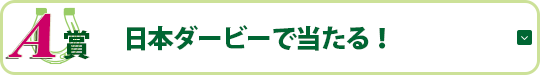 A賞 日本ダービーで当たる!