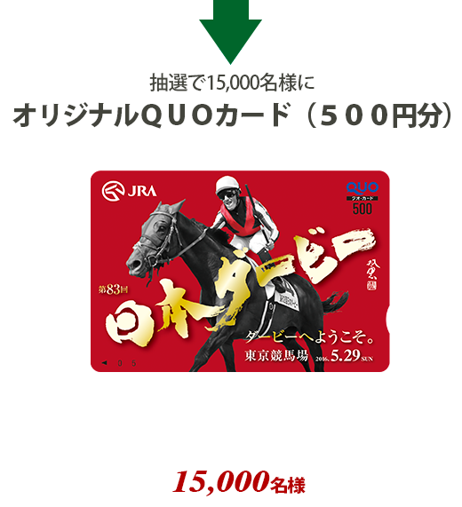 arne クッションカバー 大きい デニム クッション カバー 日本製