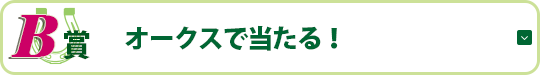 B賞 オークス&日本ダービーで当たる!
