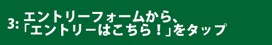 エントリーフォームから、「エントリ−はこちら！」をタップ