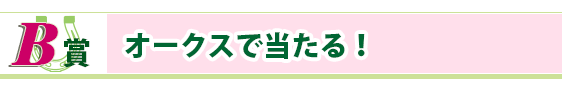 B賞 オークスで当たる!