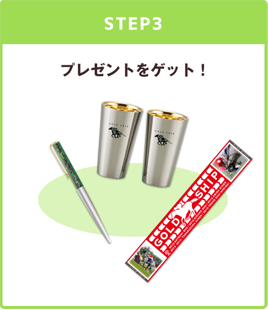 匿名配送 新品未使用 JRA ゴールドシップ オリジナル ペアタンブラー 非売品