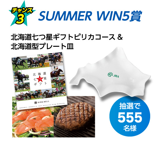 チャンス3:SUMMER WIN5賞 北海道七つ星ギフトピリカコース&北海道型プレート皿