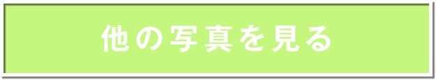 他の写真を見る