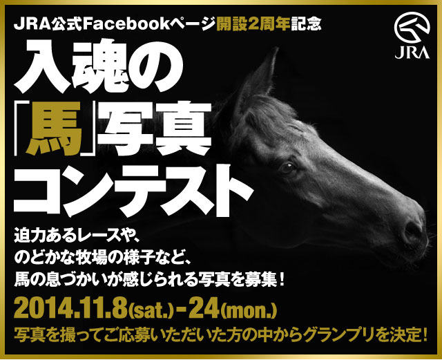 JRA公式Facebookページ開設2周年記念　入魂の 「馬」写真 コンテスト 迫力あるレースや、 のどかな牧場の様子など、 馬の息づかいが感じられる写真を募集！2014.11.8(sat.)-24(mon.)写真を撮ってご応募いただいた方の中からグランプリを決定!