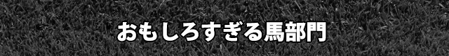 おもしろすぎる馬部門