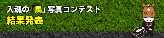 入魂の「馬」写真コンテスト結果発表