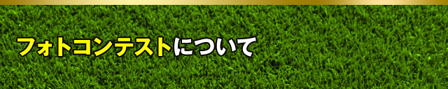 フォトコンテストについて