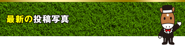 最新の投稿写真