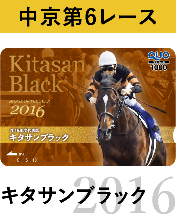 【mai .】JRAアニバーサリー特別版 ボールペン２種＆メモリアルブック mai .】JRAアニバーサリー特別版 ボールペン2種＆メモリアルブック