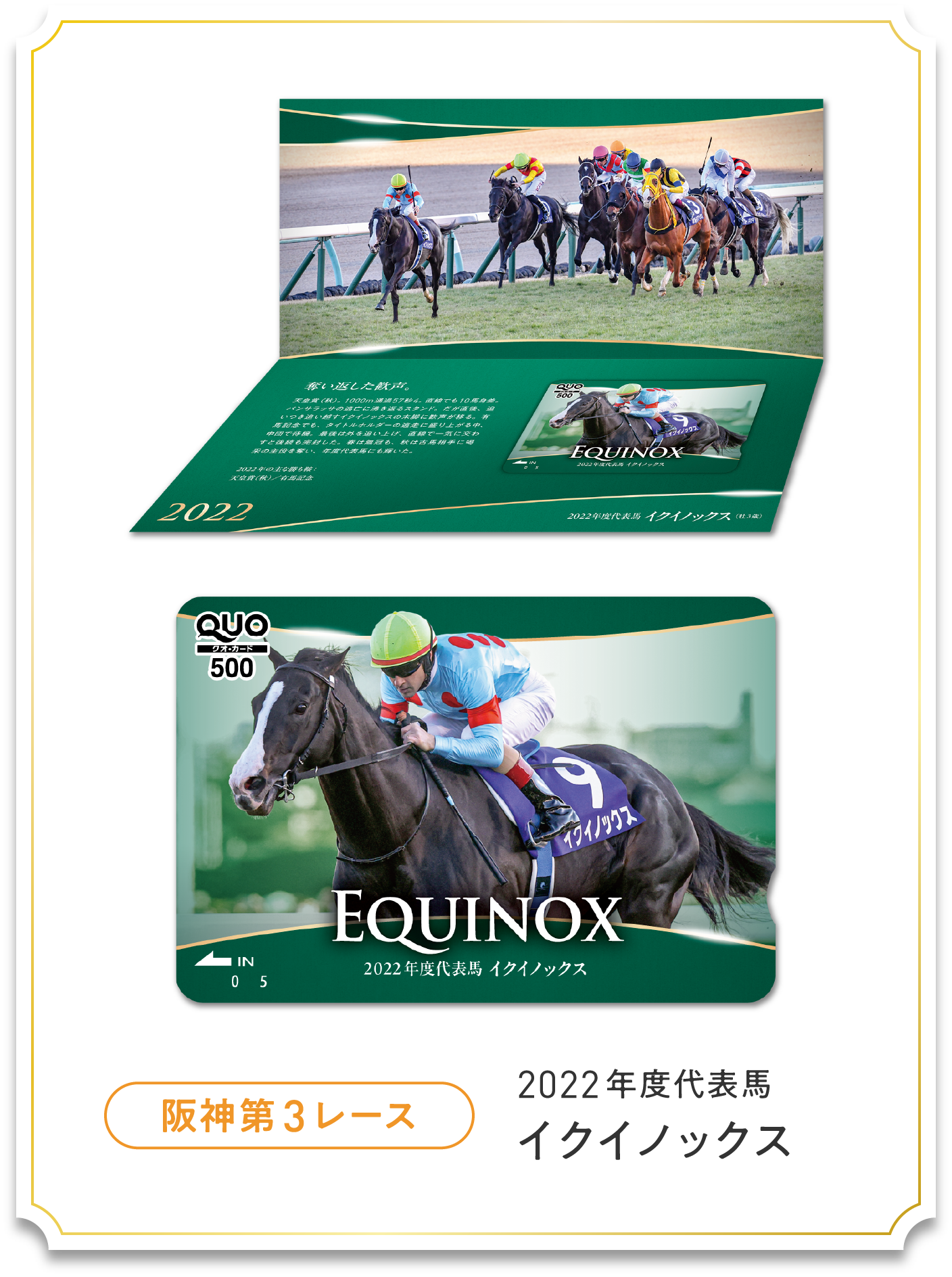 JRA応募抽選限定品 JRAアニバーサリーキャンペーン | JRA