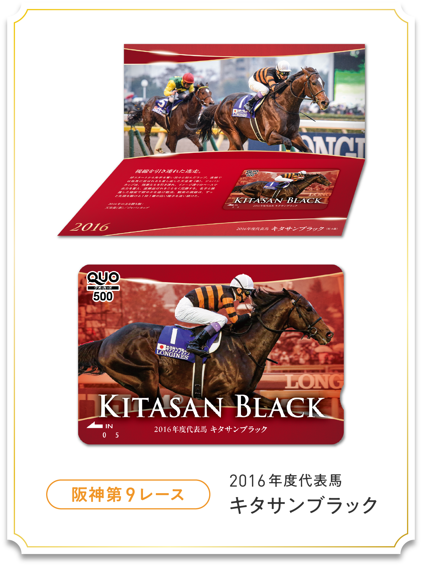 JRA応募抽選限定品 JRAアニバーサリーキャンペーン | JRA