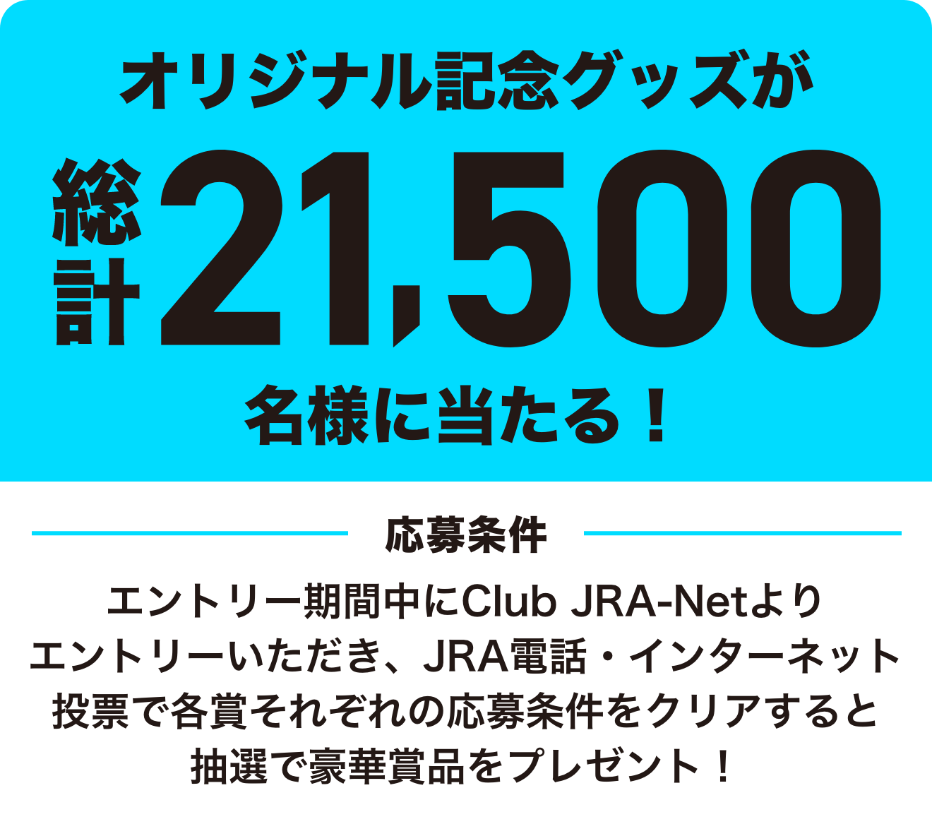 オリジナル記念グッズが総計21,500名様に当たる！ 応募条件 エントリー期間中にClub-JRA-Netよりエントリーいただき、JRA電話・インターネット投票で各賞それぞれの応募条件をクリアすると抽選で豪華賞品をプレゼント！