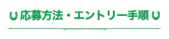 応募方法・エントリー手順
