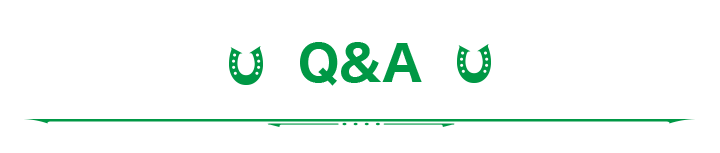 Q&A
