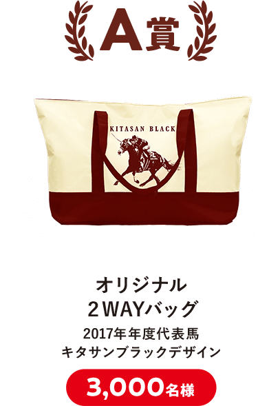 A賞 オリジナル2WAYバッグ