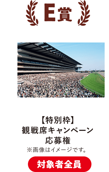 E賞 観戦席キャンペーン応募券