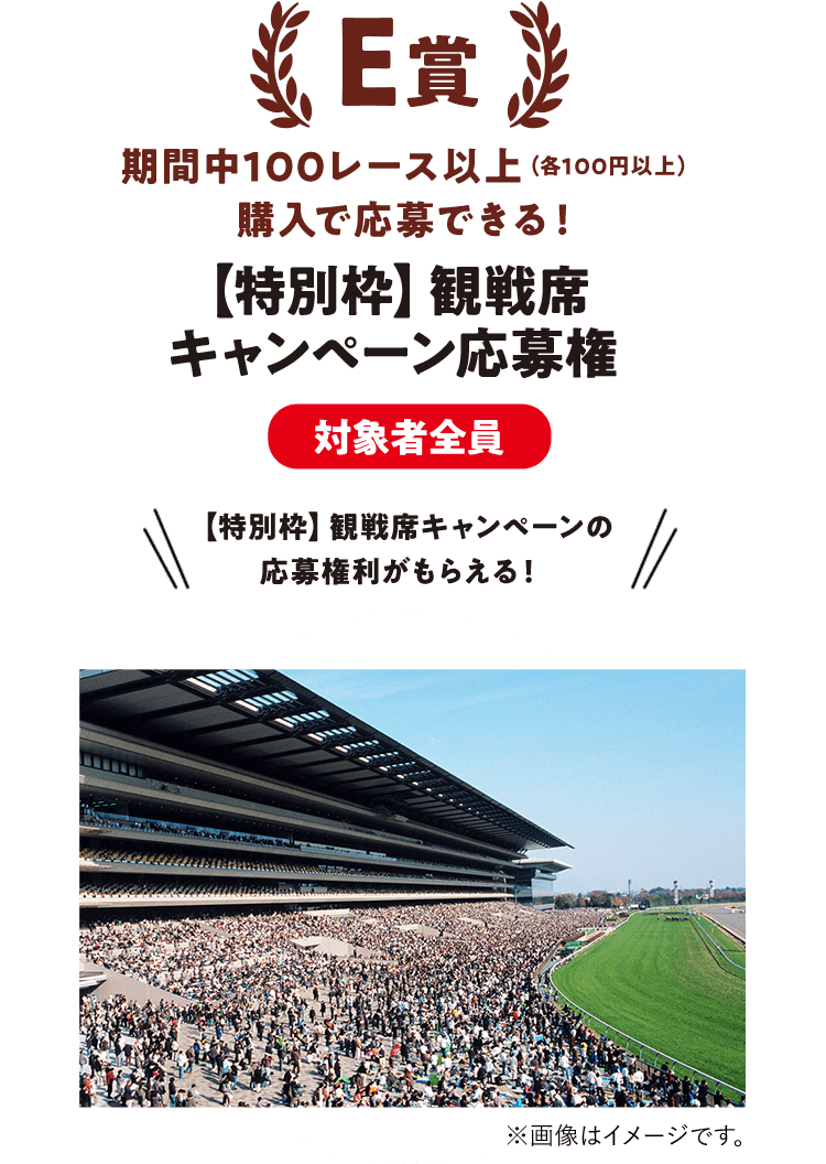 E賞 観戦席キャンペーン応募券