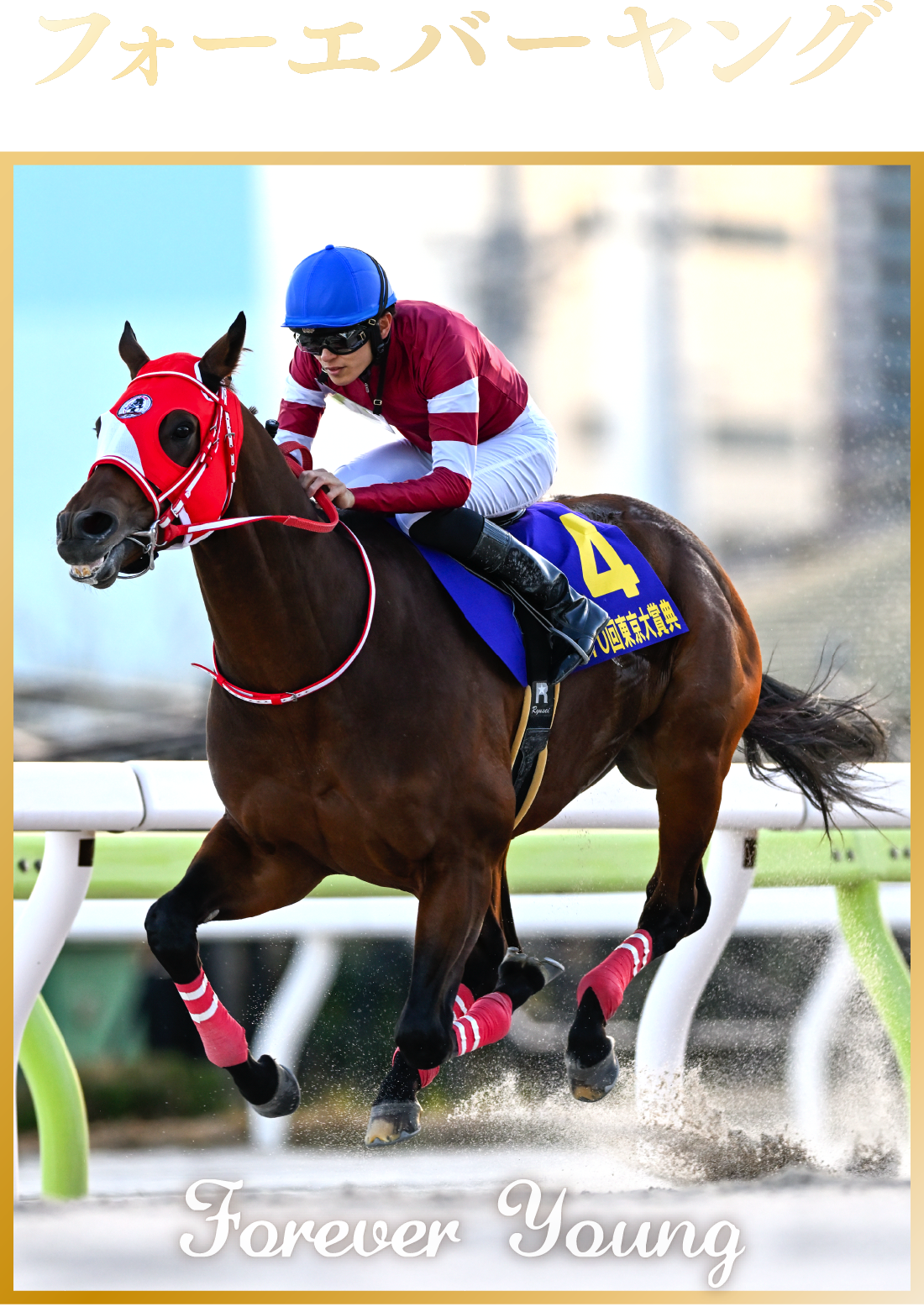 JRA卓上カレンダー プレゼントキャンペーン | JRA