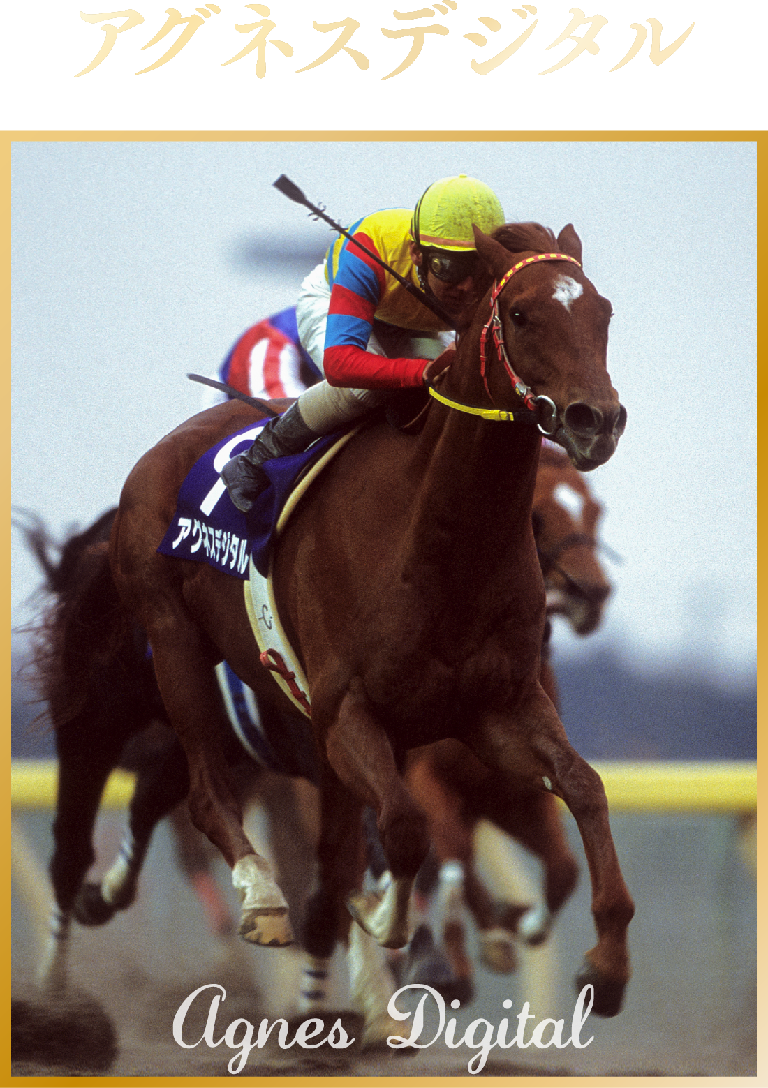 JRA卓上カレンダー プレゼントキャンペーン | JRA