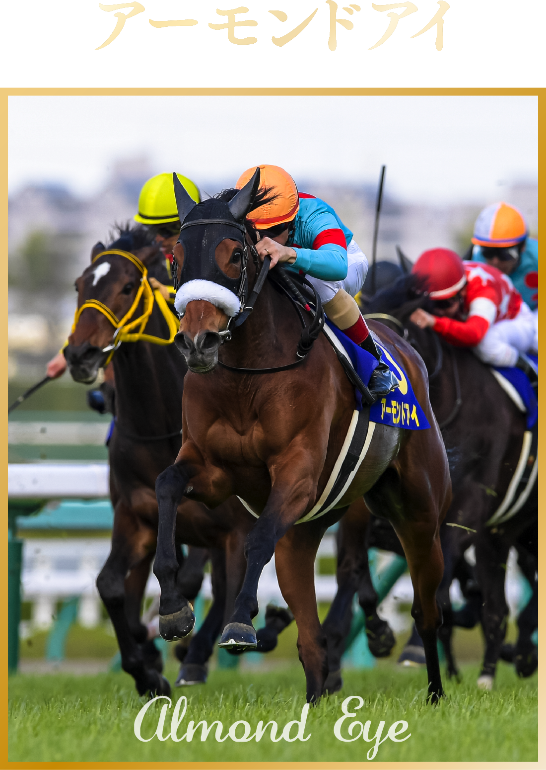 JRA卓上カレンダー プレゼントキャンペーン | JRA