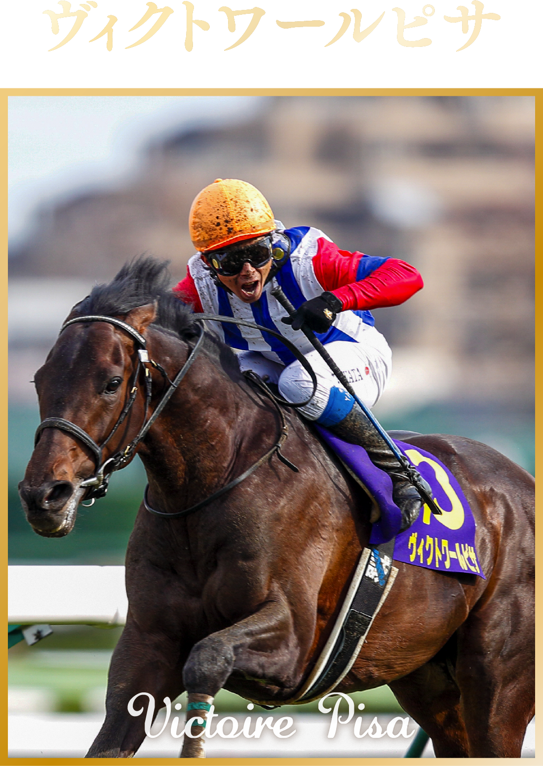 ���B�N�g���[���s�T