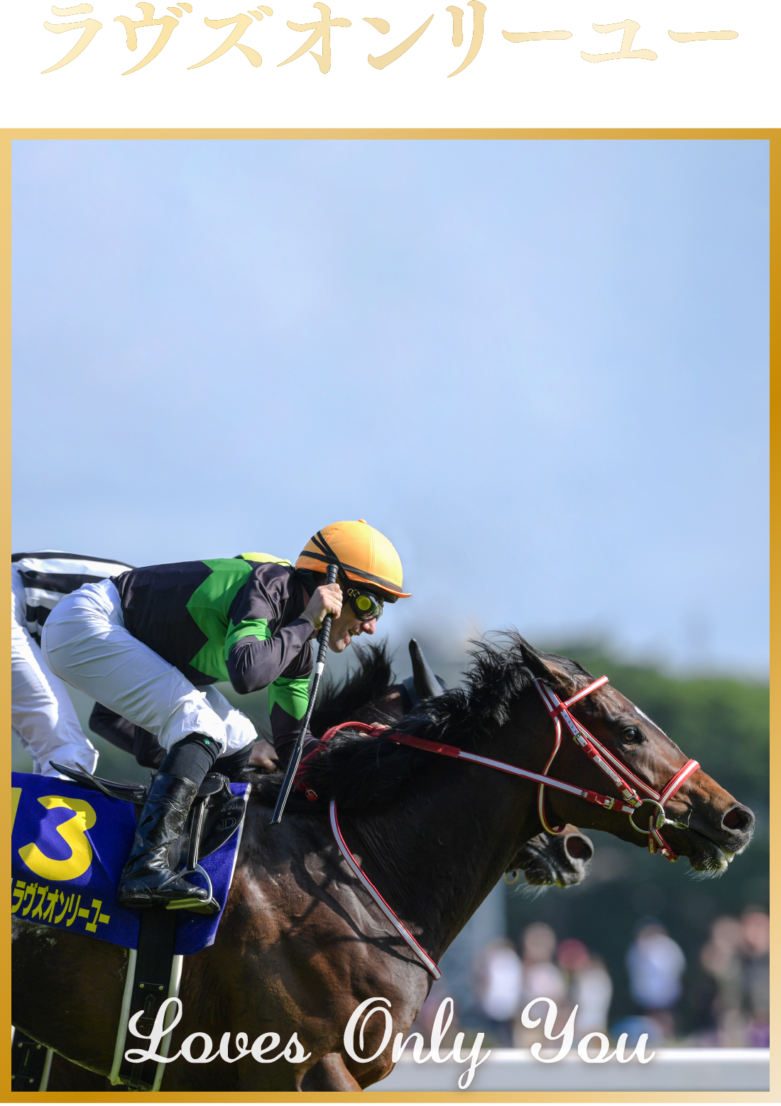 ���u�Y�I�����[���[