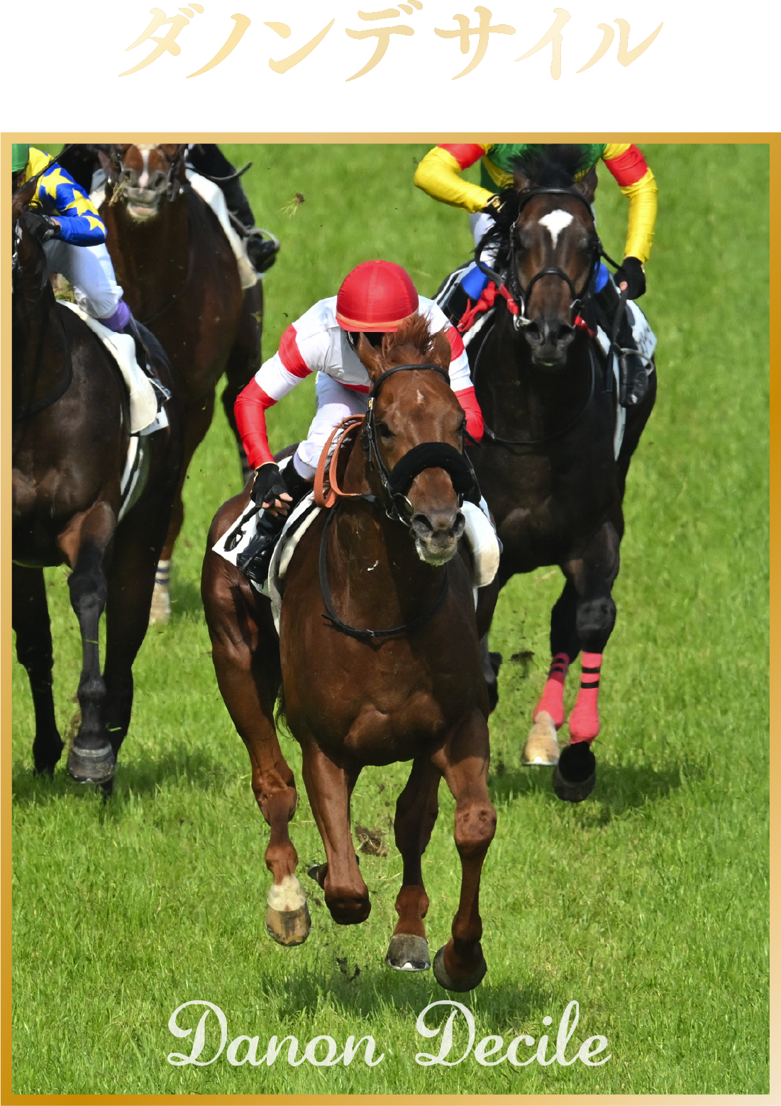 �_�m���f�T�C��