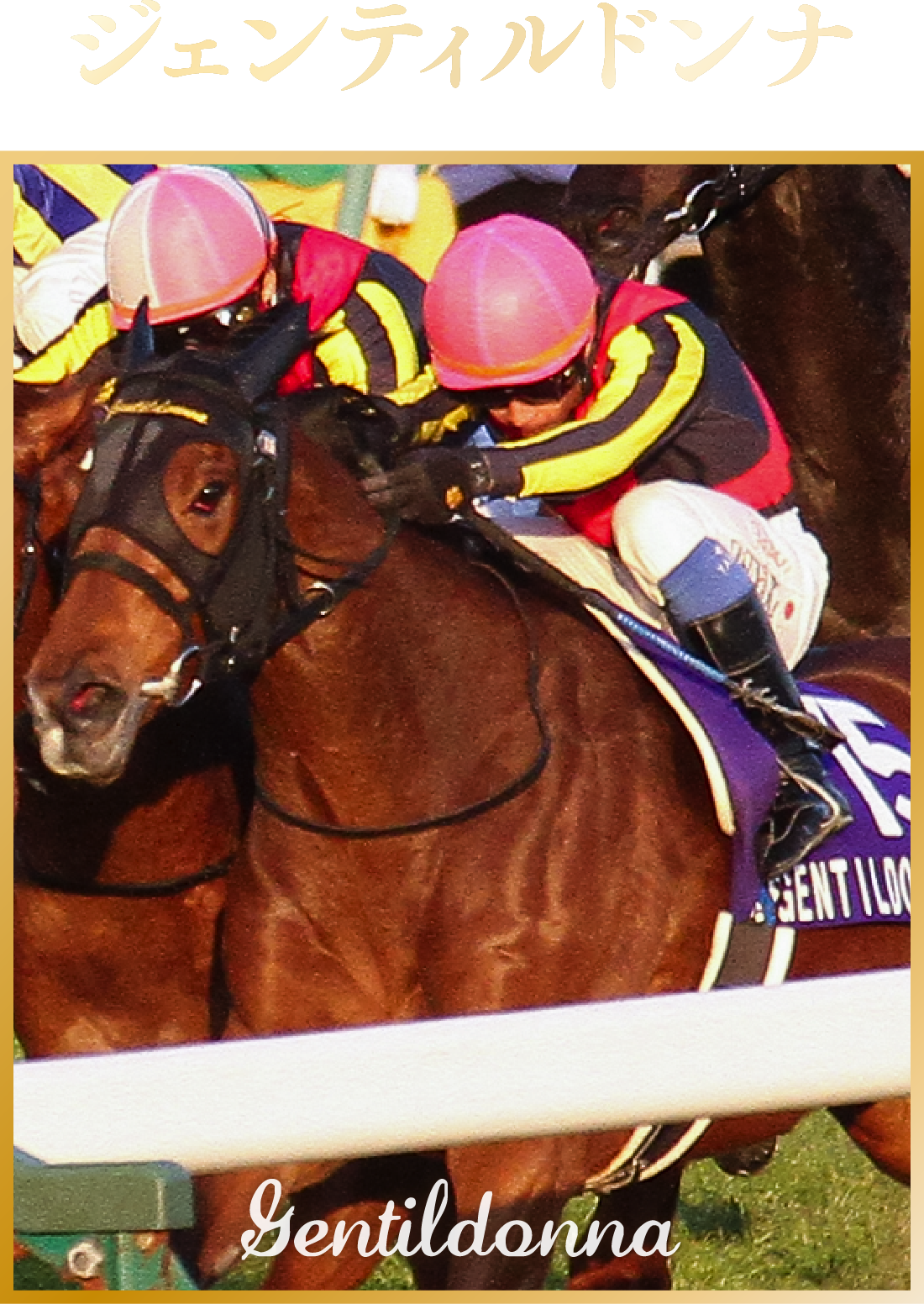 �W�F���e�B���h���i