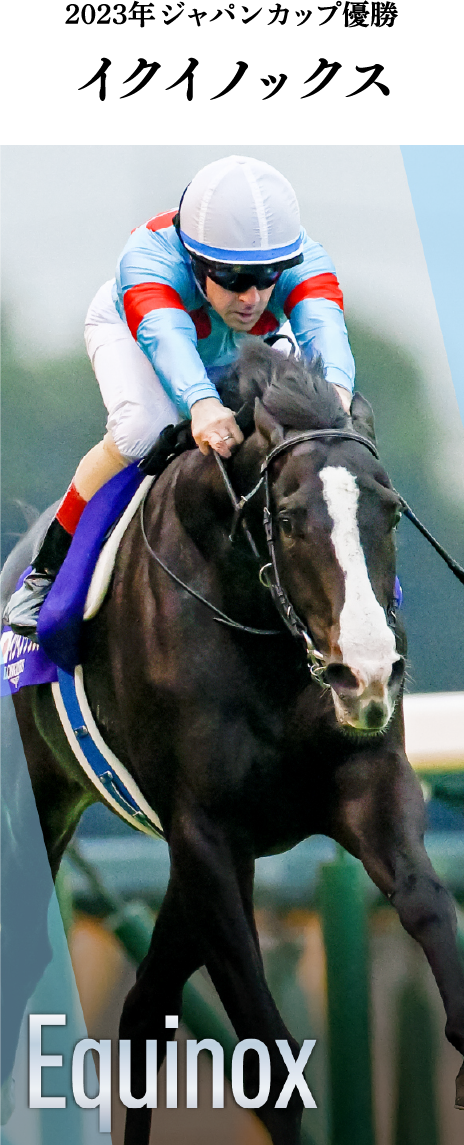 JRA卓上カレンダー プレゼントキャンペーン | JRA