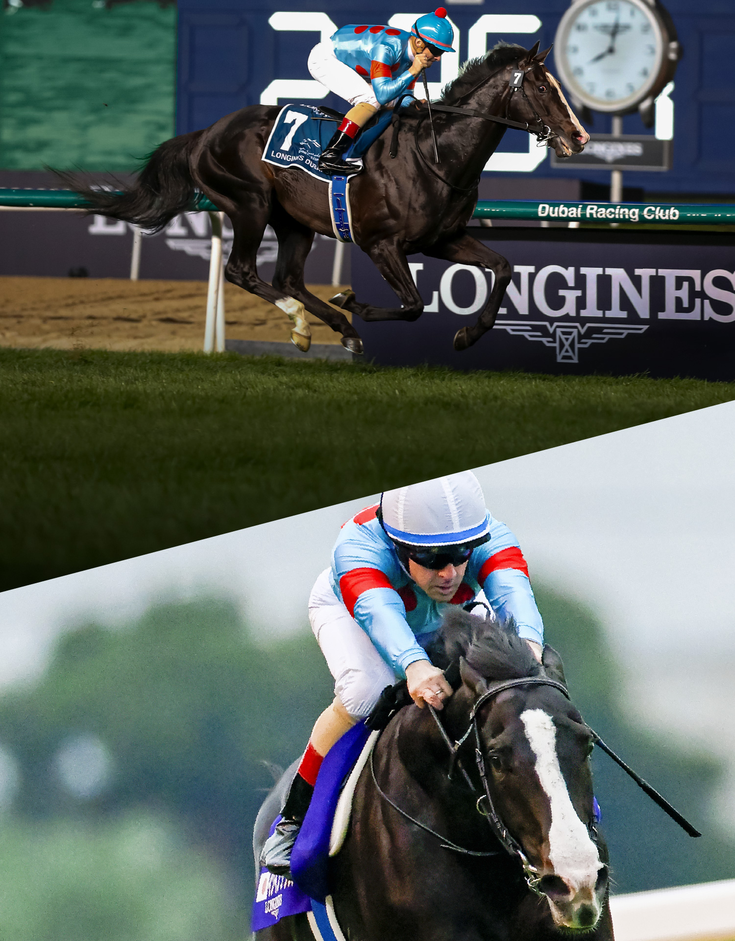 JRA卓上カレンダー プレゼントキャンペーン | JRA