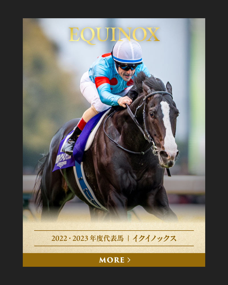 2022・2023 年度代表馬  ｜  イクイノックス