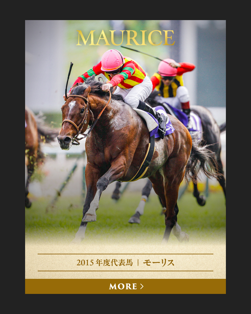 2015 年度代表馬  ｜  モーリス