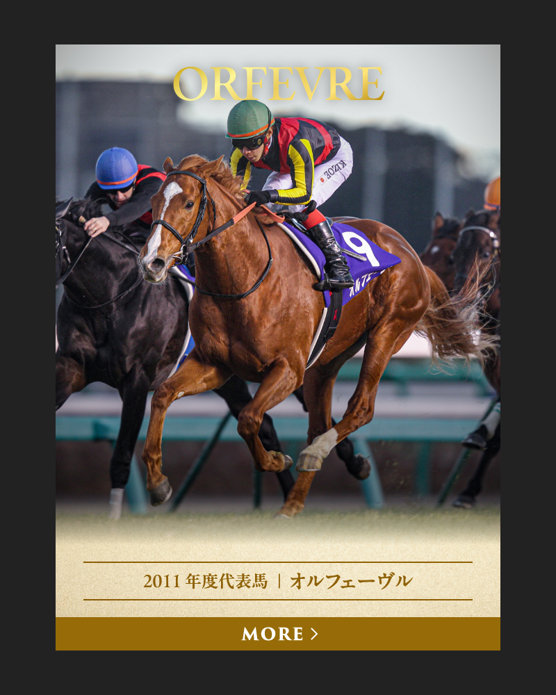 2011 年度代表馬  ｜  オルフェーヴル