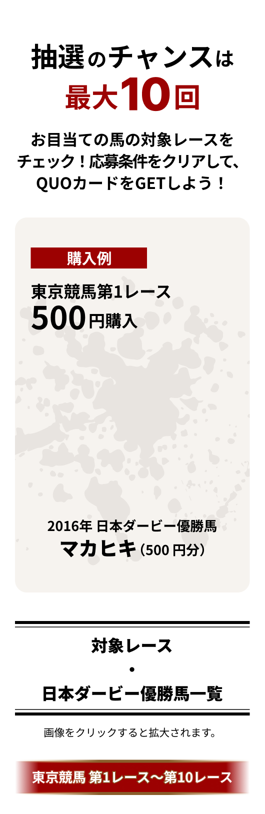 購入例内容
