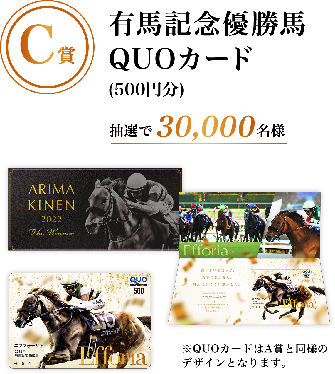 JRA 2022有馬記念キャンペーン A賞G1 フォトブック（QUOカード無し